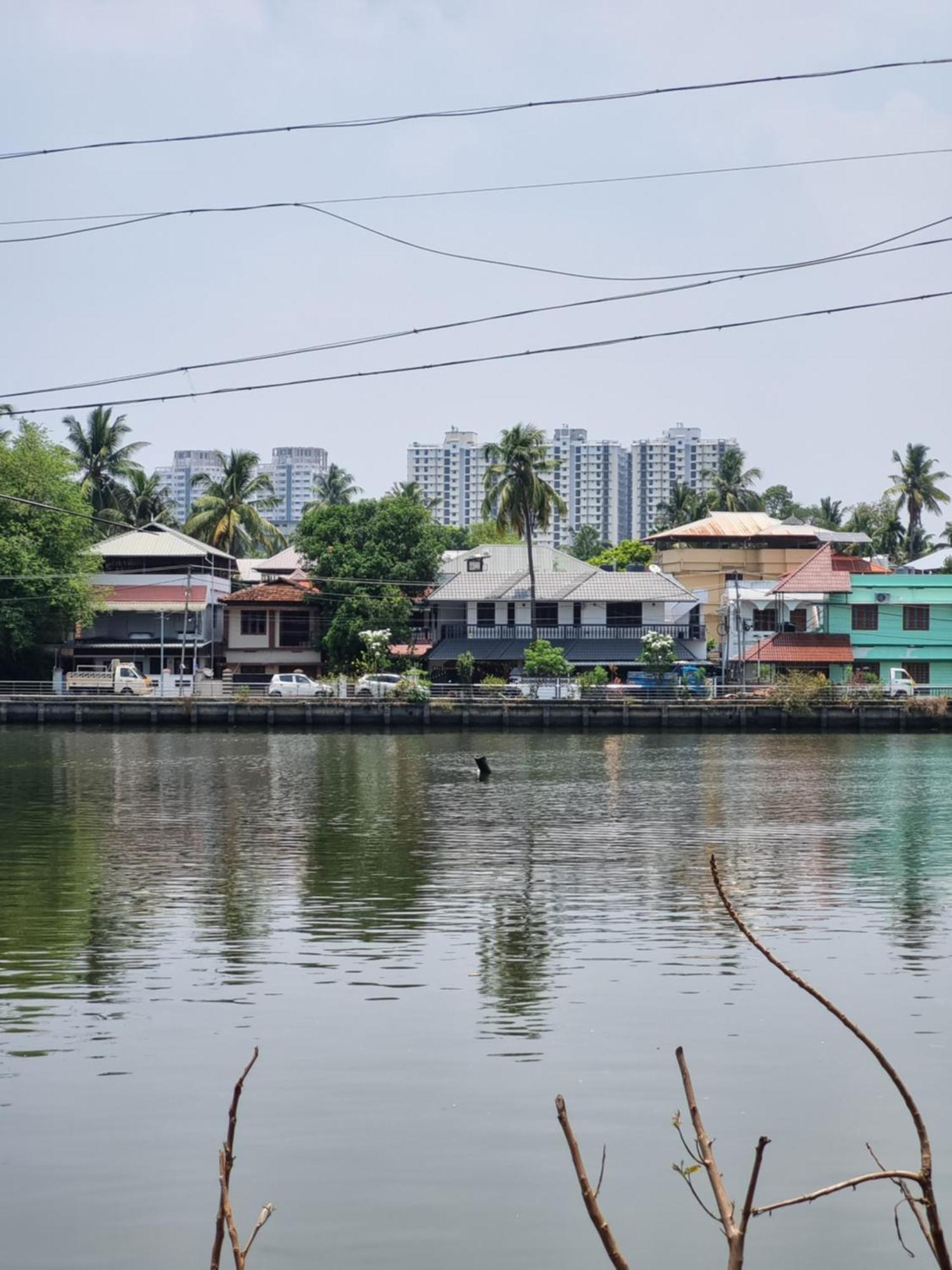 Oasis Homestay Kochi Exterior foto